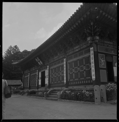 knd_59493()