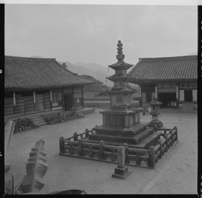 knd_59514()