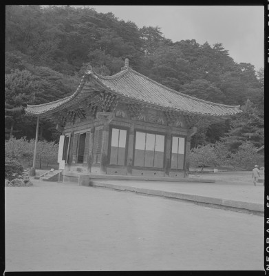 knd_59554()