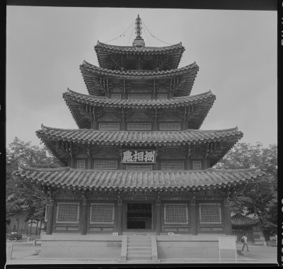 knd_59556()