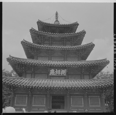 knd_59557()