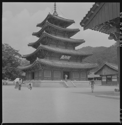 knd_59558()