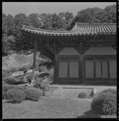 knd_59588()