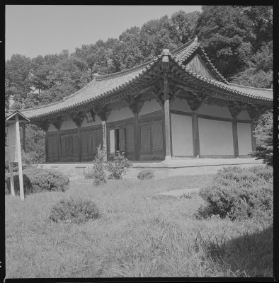 knd_59592()