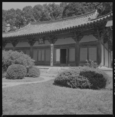 knd_59594()