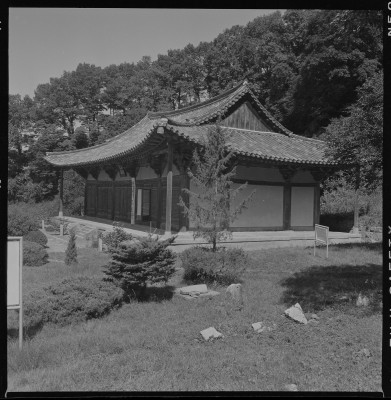 knd_59618()