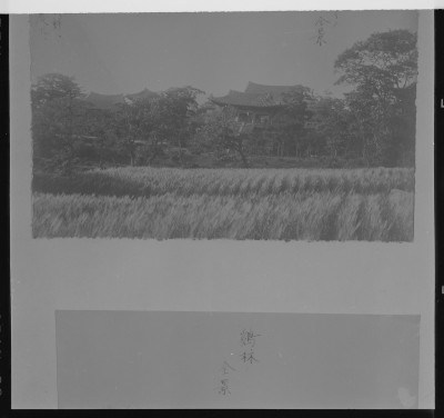 knd_59664()
