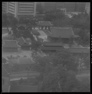 knd_59781()
