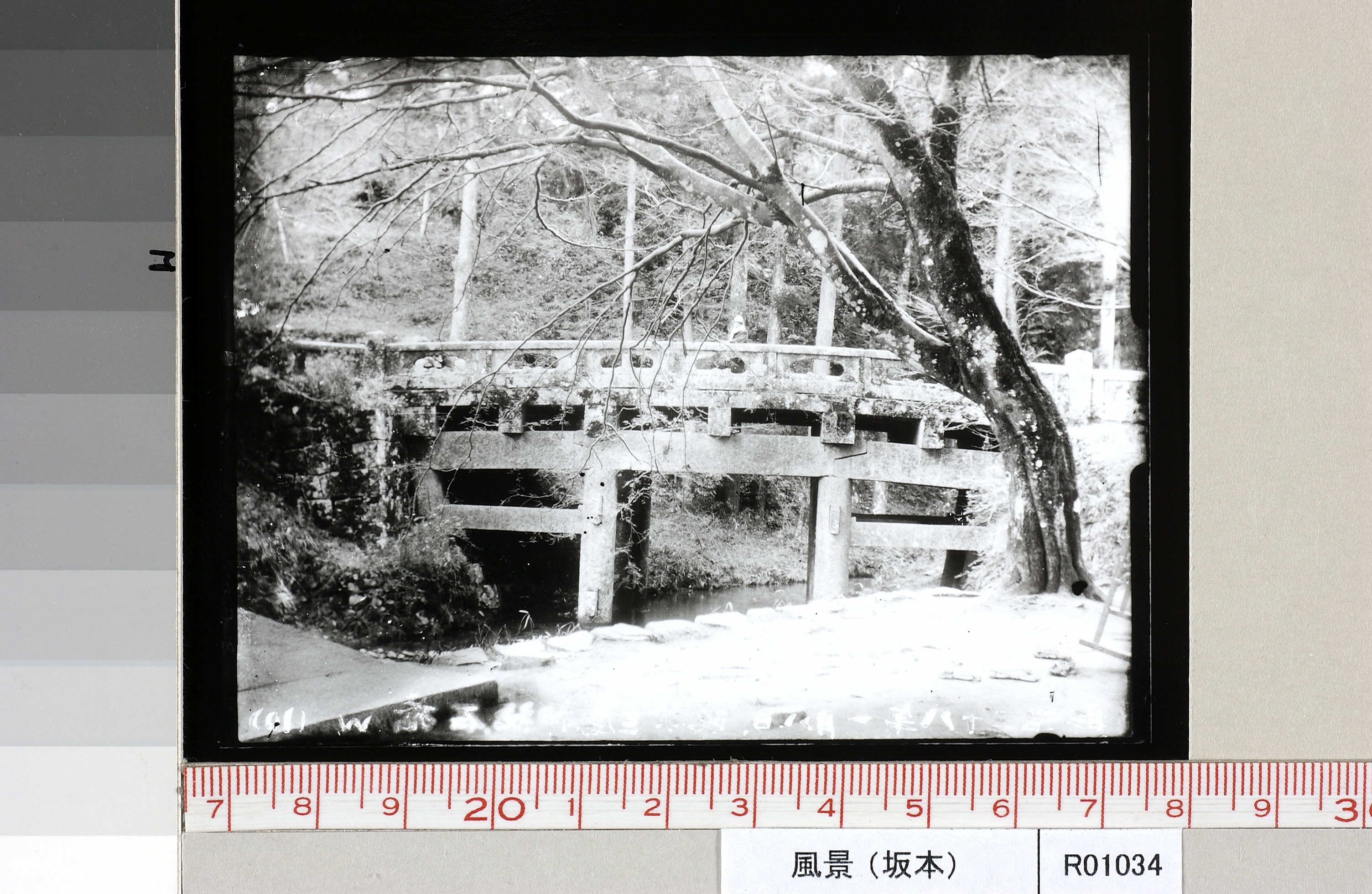 rksi_966162()